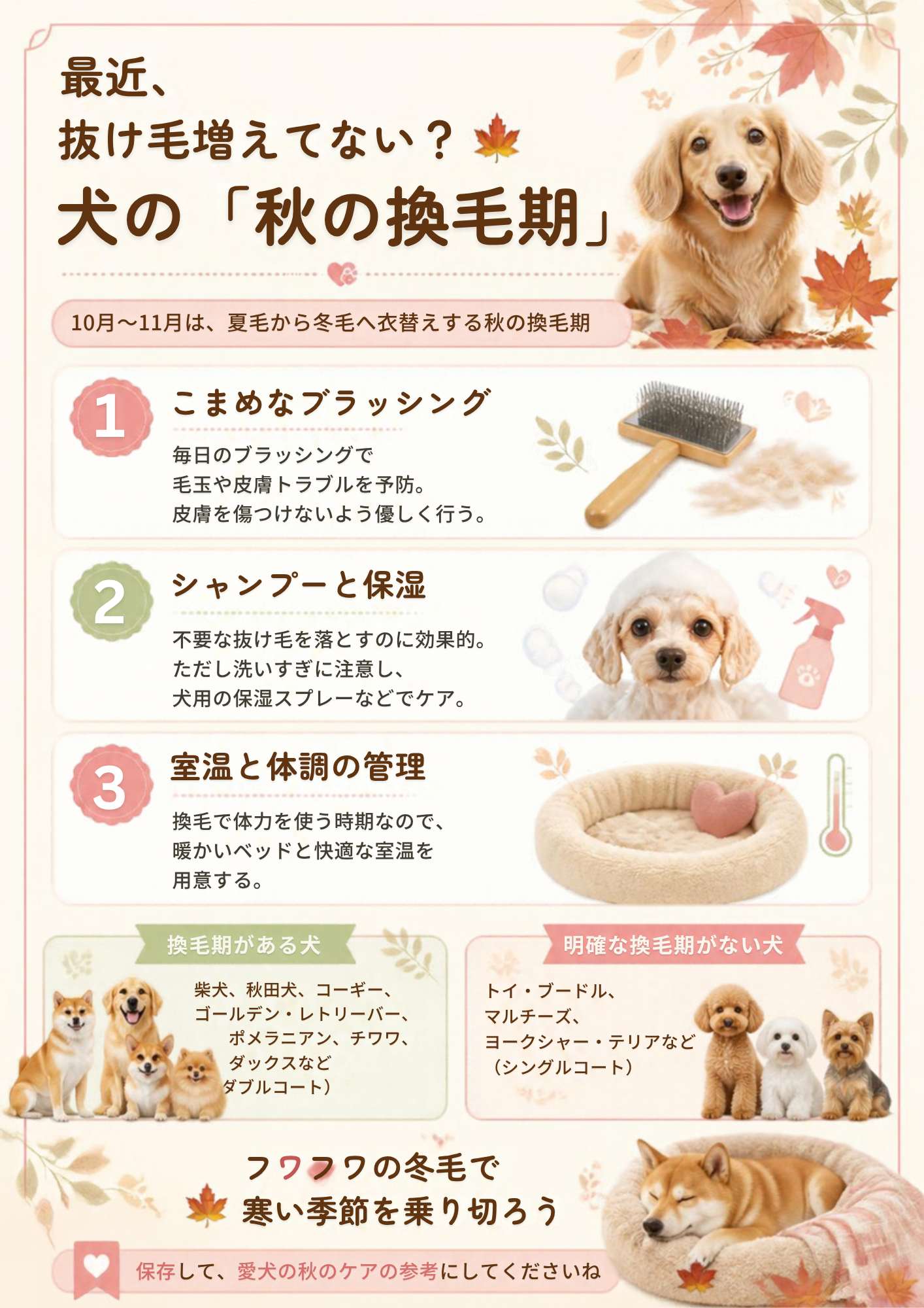 犬の秋の換毛期Instagramカルーセル