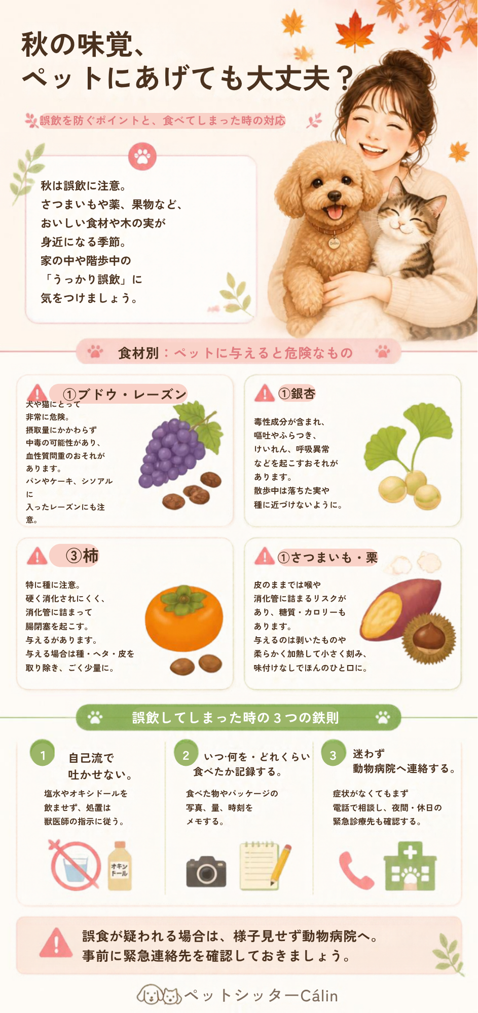ペットの秋食材安全カルーセル
