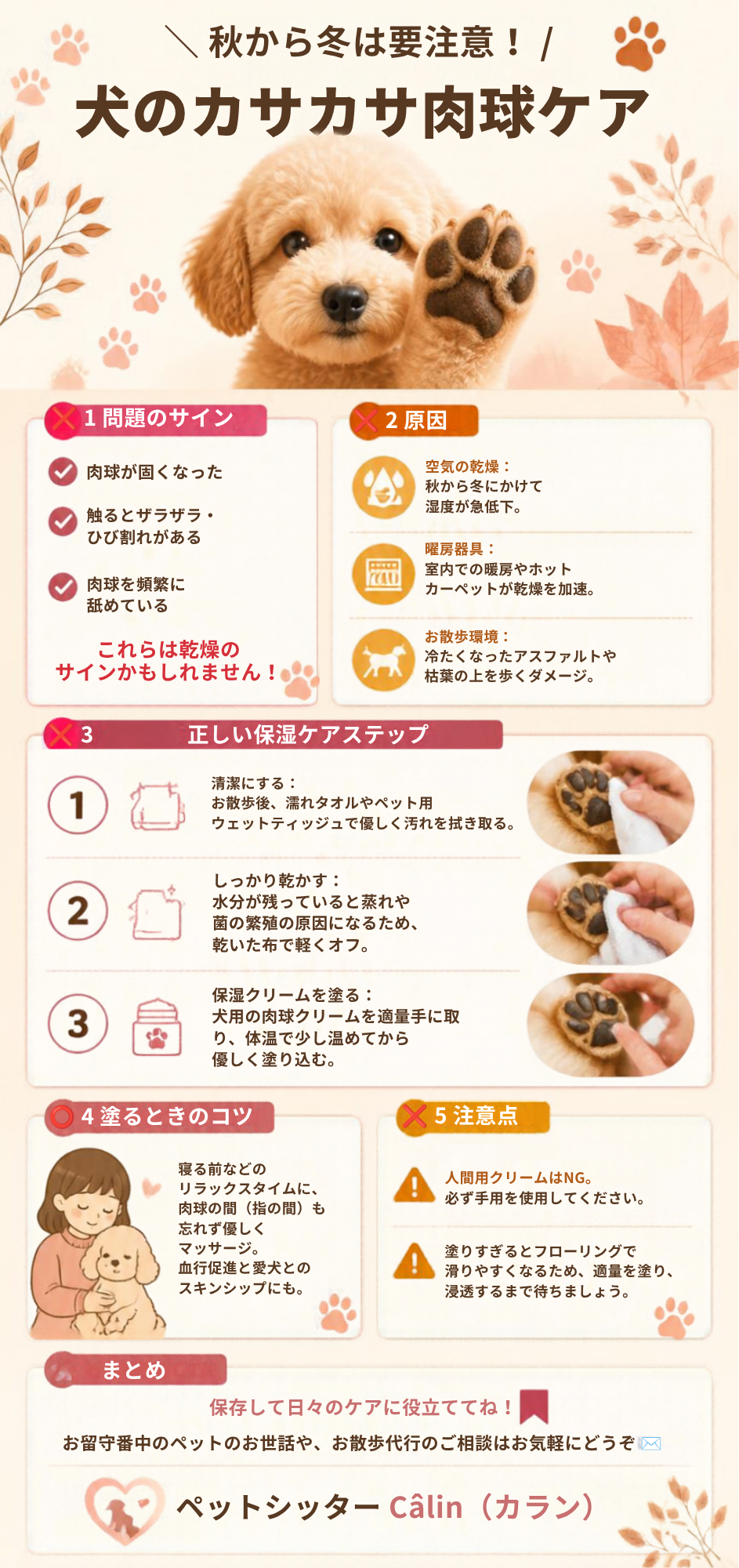 秋冬の犬の肉球ケアInstagramカルーセル