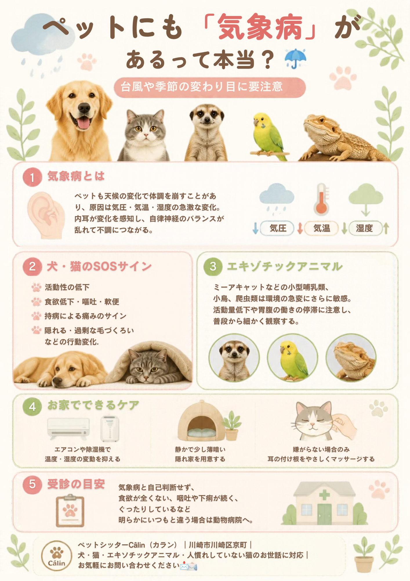 ペットの気象病 Instagramカルーセル