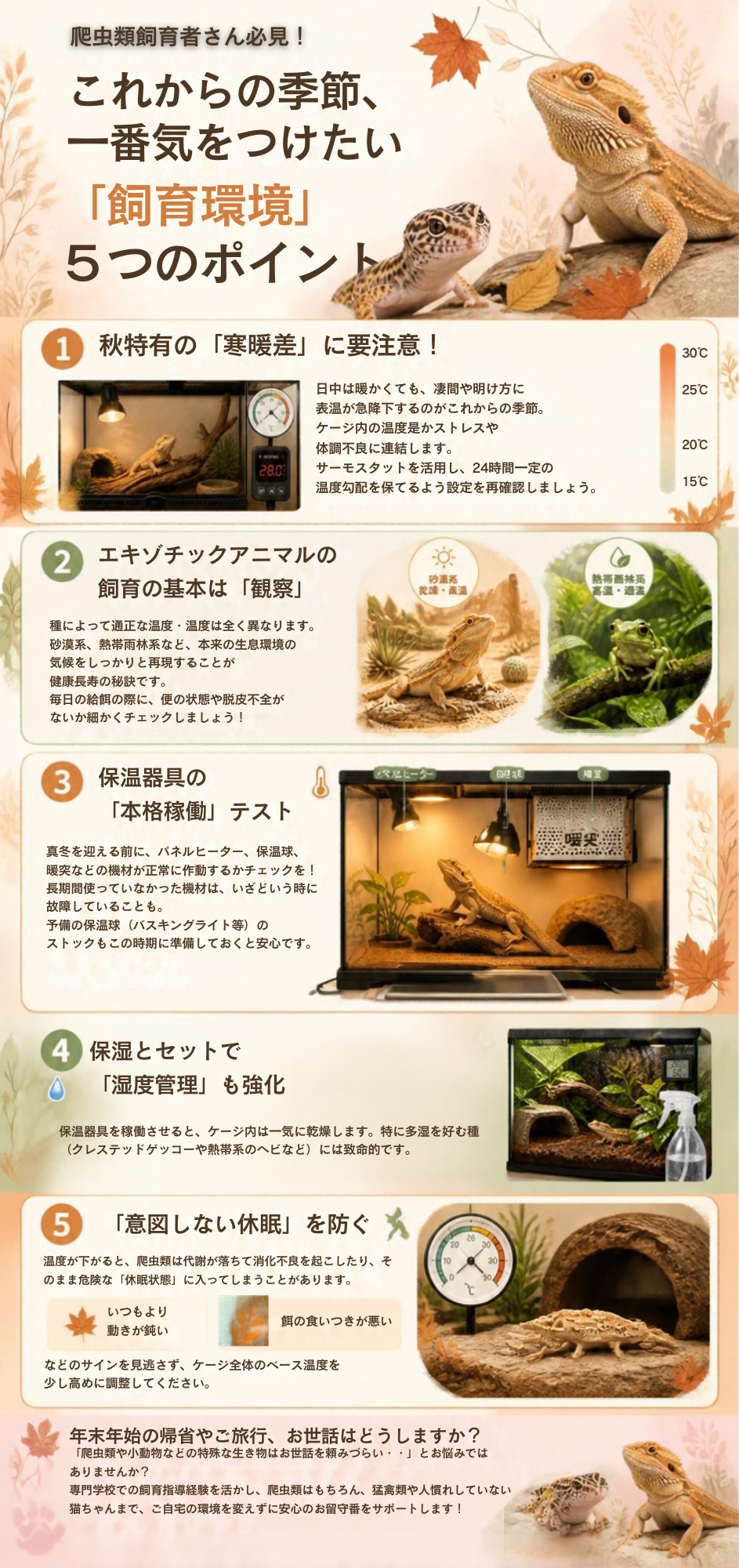 爬虫類飼育の季節対策ブログ画像
