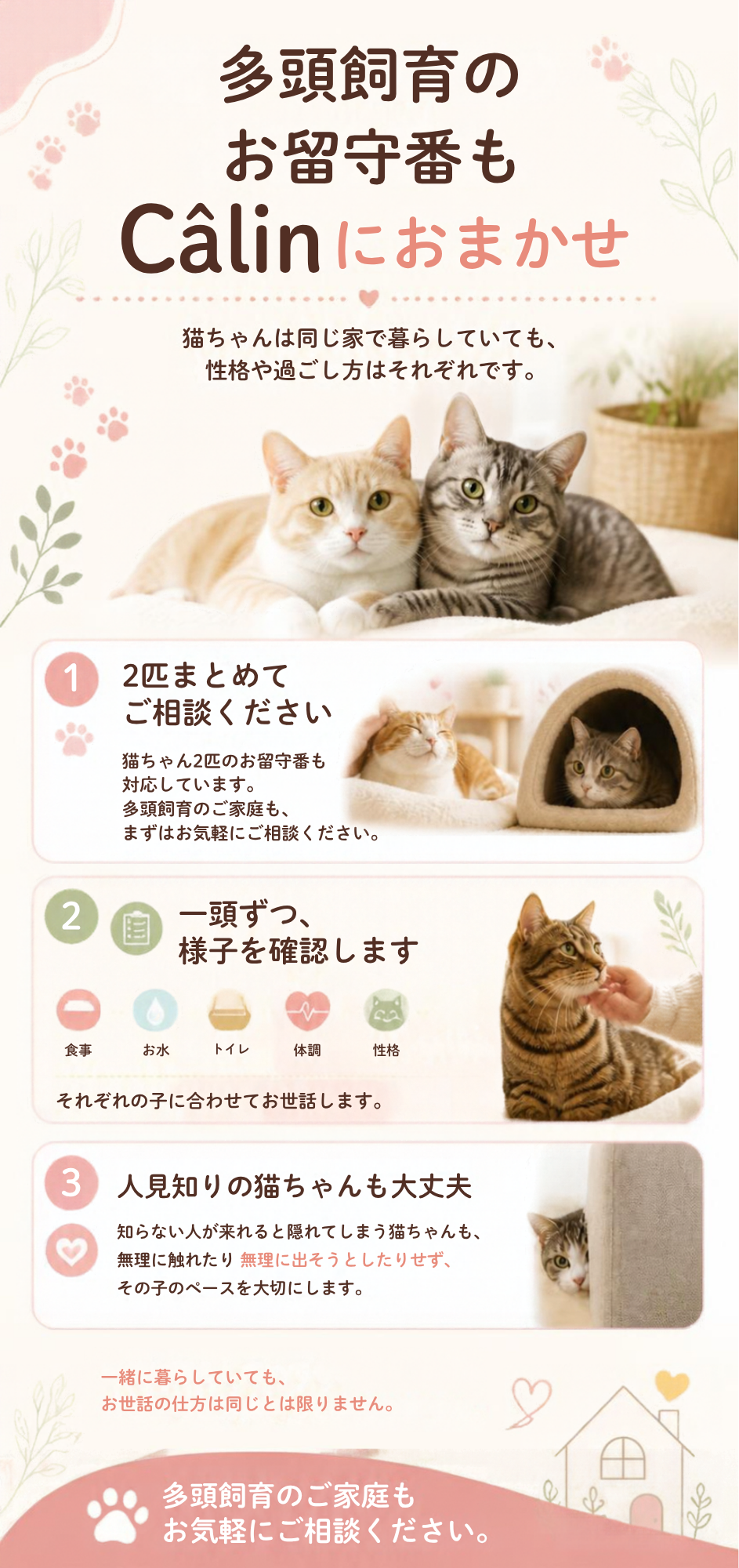 Câlinの料金案内まとめ – 2